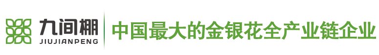 金銀花苗木，金銀花小苗，北花一號(hào)金銀花種苗--金銀花種苗廠(chǎng)家平邑縣九間棚農(nóng)業(yè)科技園有限公司